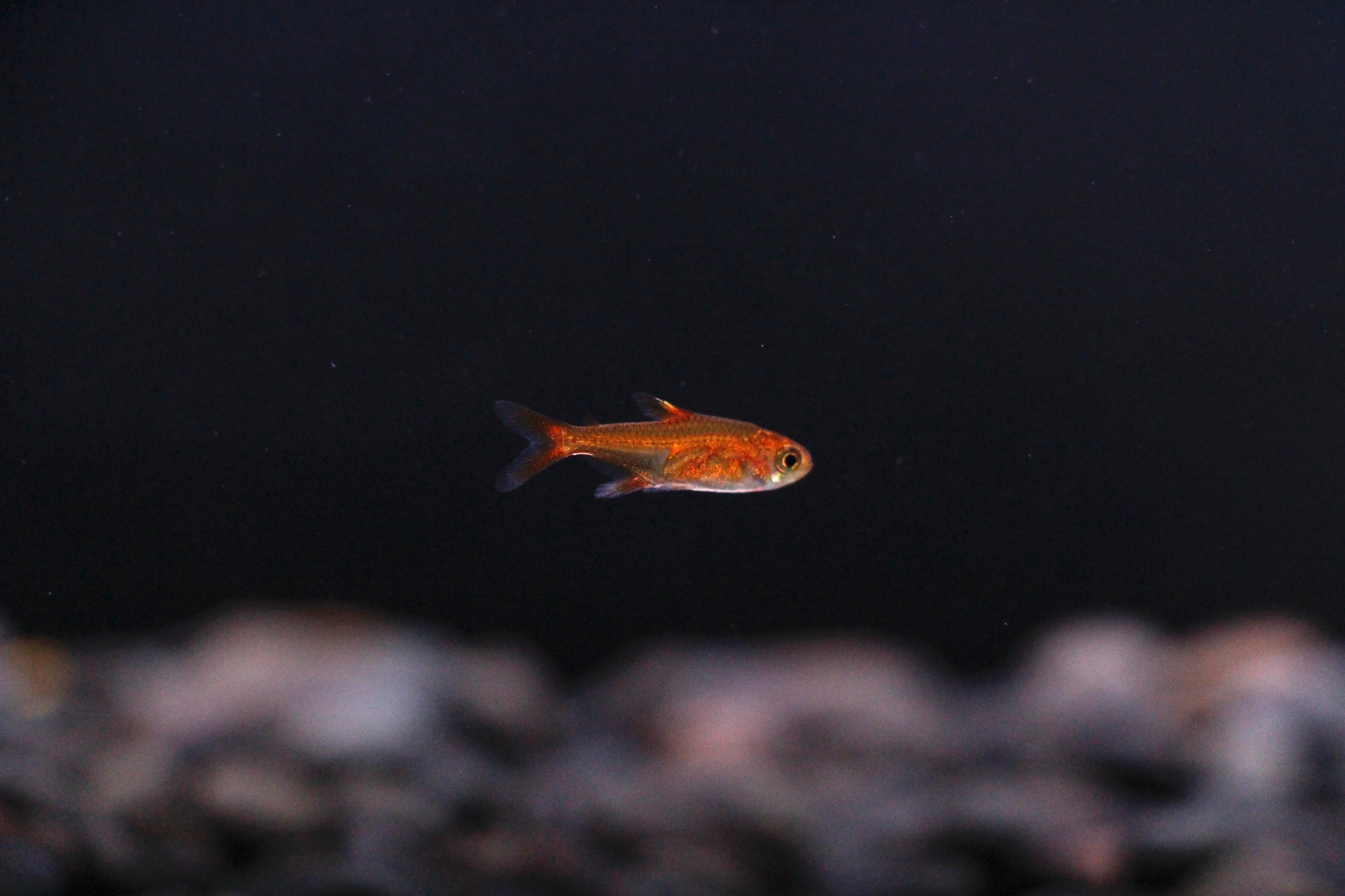 LINE_ALBUM__240923_15