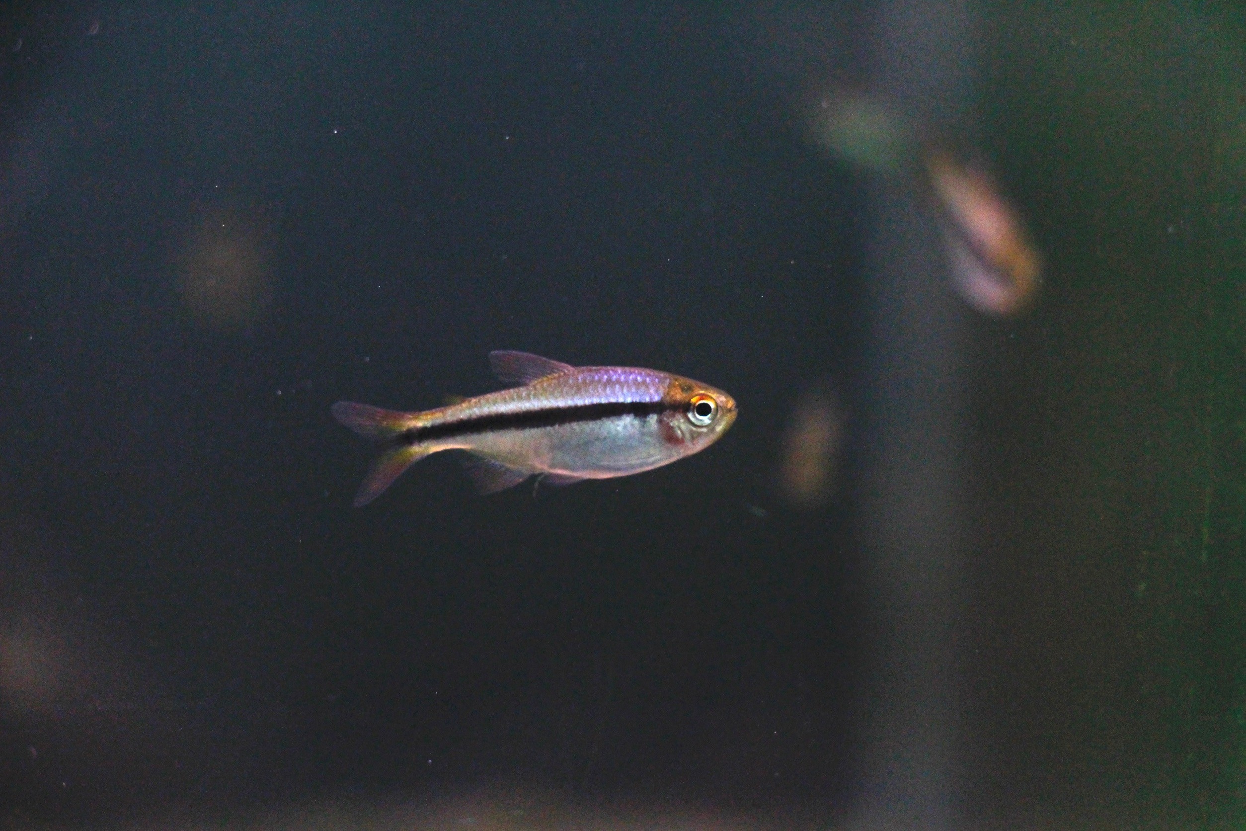 LINE_ALBUM__240923_33