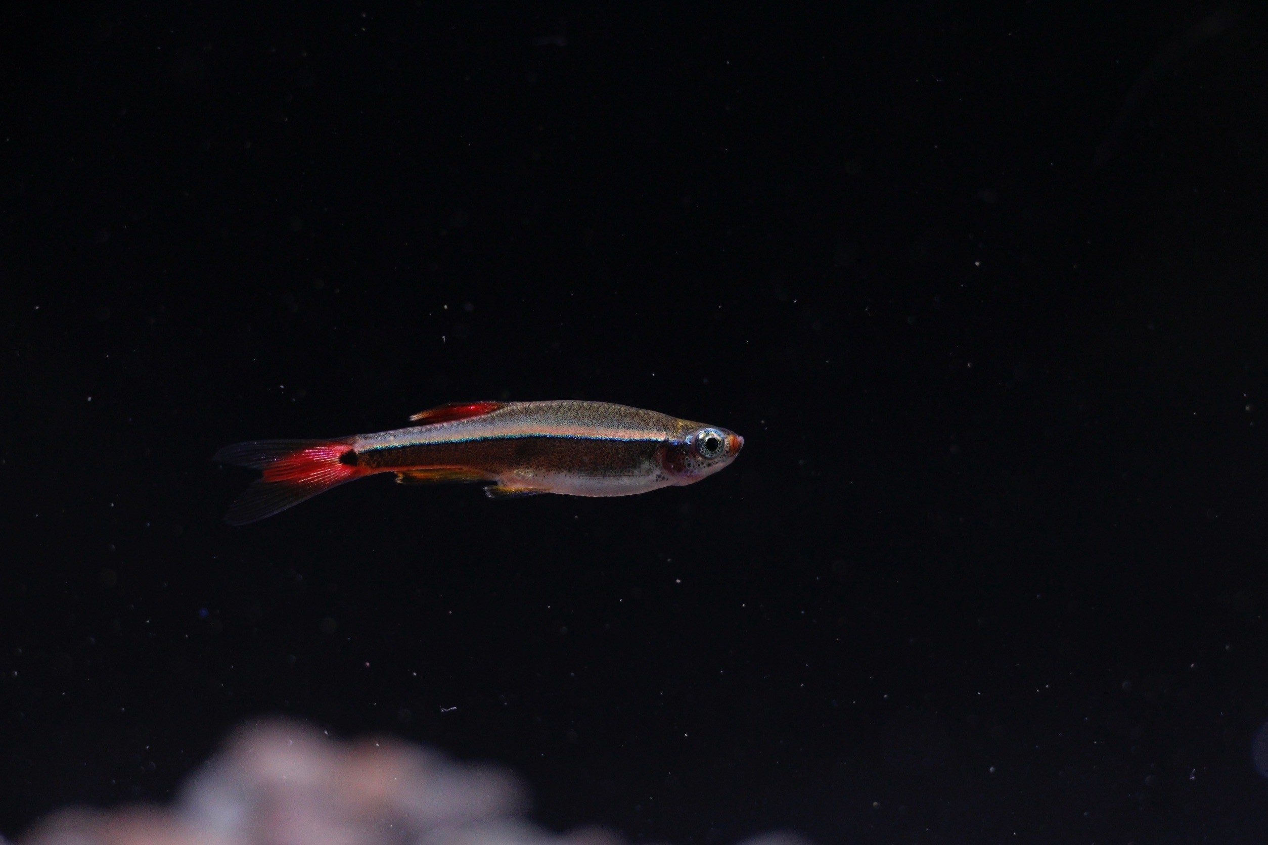 LINE_ALBUM__240923_6